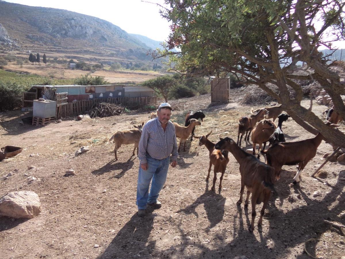 Sitanos Athena House Villa Dış mekan fotoğraf
